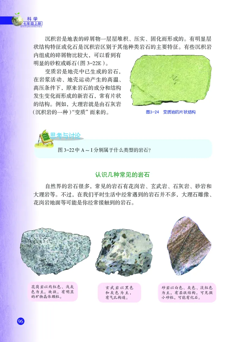 浙教版7年级科学上册高清教材_4-教培资料-26年最新资料-同步更新_初中高中教资_03科三专项（进去保存报考的学科即可）_02科三专项（笔记真题思维导图教学设计版本二）