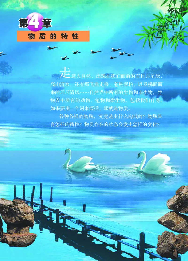 浙教版7年级科学上册高清教材_4-教培资料-26年最新资料-同步更新_初中高中教资_03科三专项（进去保存报考的学科即可）_02科三专项（笔记真题思维导图教学设计版本二）