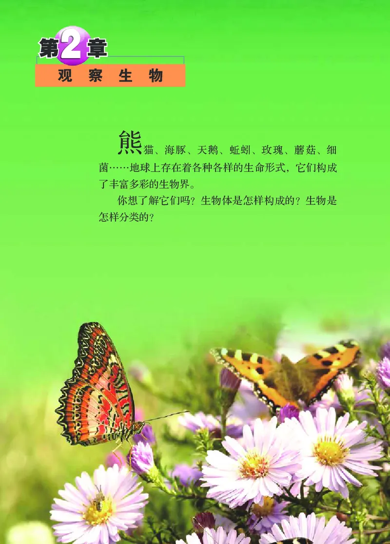 浙教版7年级科学上册高清教材_4-教培资料-26年最新资料-同步更新_初中高中教资_03科三专项（进去保存报考的学科即可）_02科三专项（笔记真题思维导图教学设计版本二）