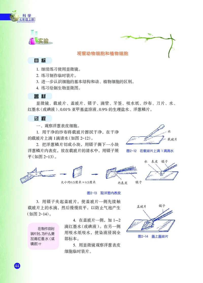 浙教版7年级科学上册高清教材_4-教培资料-26年最新资料-同步更新_初中高中教资_03科三专项（进去保存报考的学科即可）_02科三专项（笔记真题思维导图教学设计版本二）