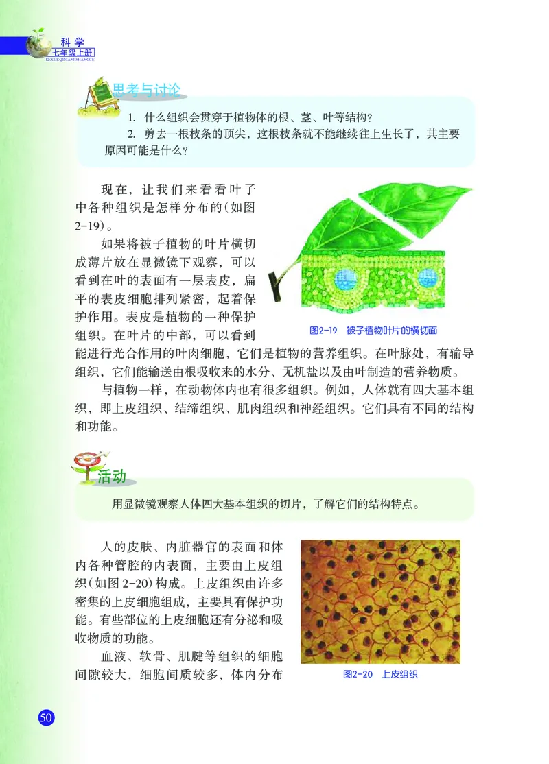 浙教版7年级科学上册高清教材_4-教培资料-26年最新资料-同步更新_初中高中教资_03科三专项（进去保存报考的学科即可）_02科三专项（笔记真题思维导图教学设计版本二）