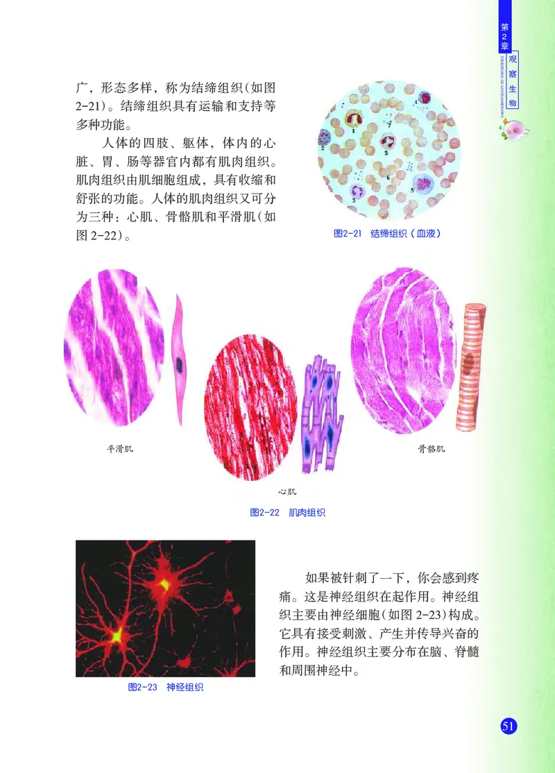 浙教版7年级科学上册高清教材_4-教培资料-26年最新资料-同步更新_初中高中教资_03科三专项（进去保存报考的学科即可）_02科三专项（笔记真题思维导图教学设计版本二）