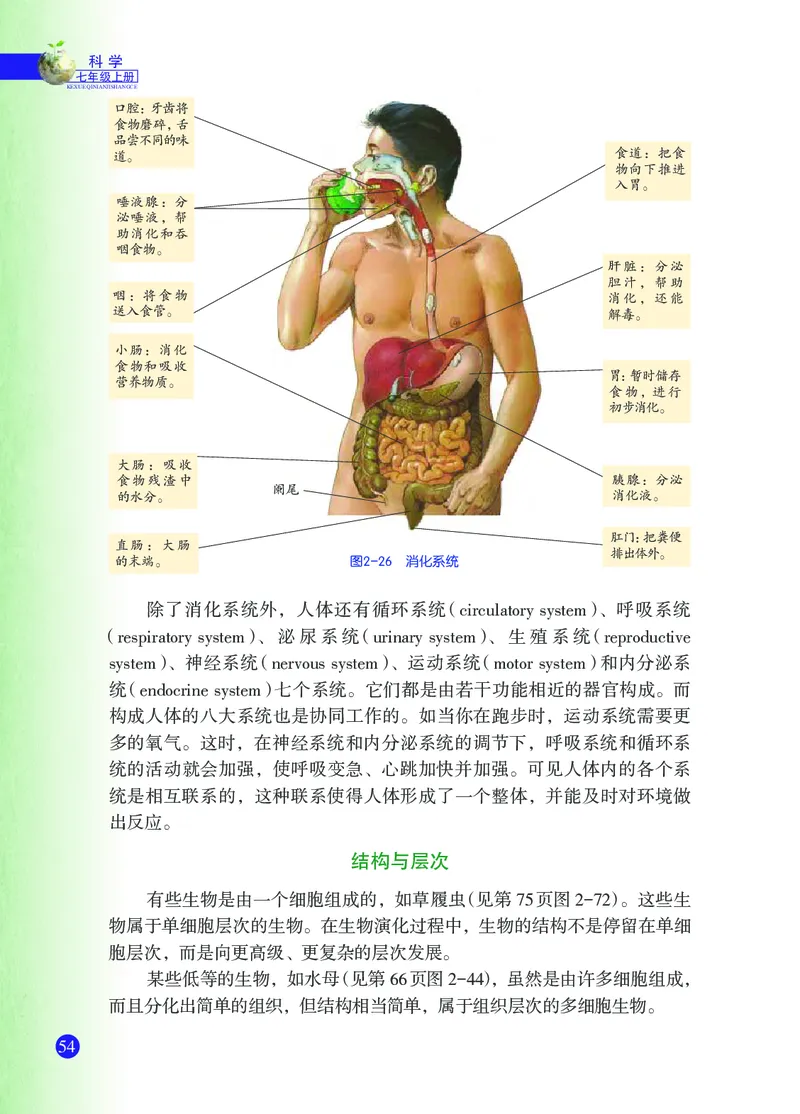 浙教版7年级科学上册高清教材_4-教培资料-26年最新资料-同步更新_初中高中教资_03科三专项（进去保存报考的学科即可）_02科三专项（笔记真题思维导图教学设计版本二）