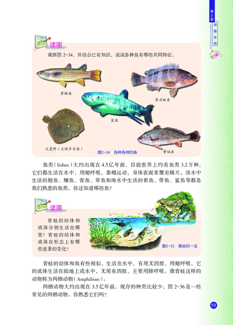 浙教版7年级科学上册高清教材_4-教培资料-26年最新资料-同步更新_初中高中教资_03科三专项（进去保存报考的学科即可）_02科三专项（笔记真题思维导图教学设计版本二）