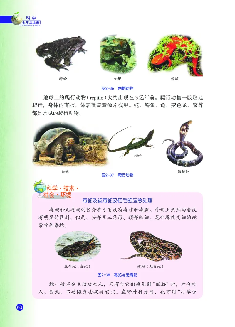 浙教版7年级科学上册高清教材_4-教培资料-26年最新资料-同步更新_初中高中教资_03科三专项（进去保存报考的学科即可）_02科三专项（笔记真题思维导图教学设计版本二）