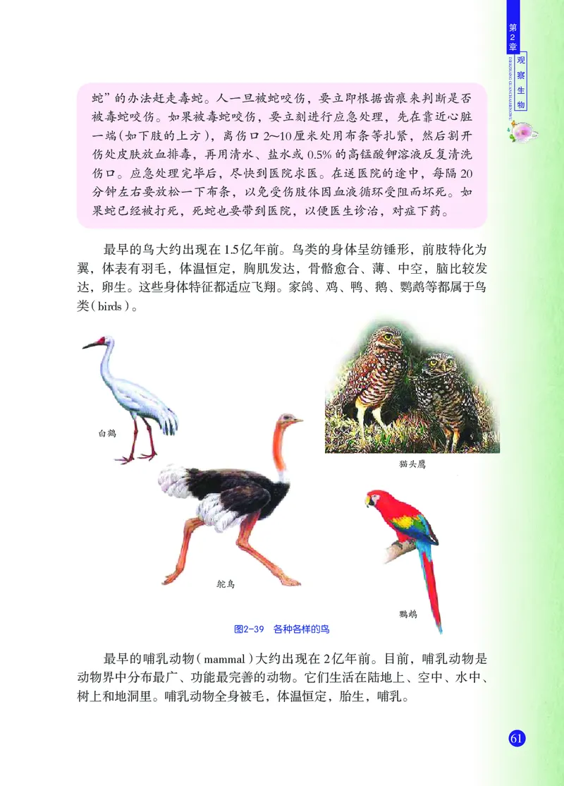 浙教版7年级科学上册高清教材_4-教培资料-26年最新资料-同步更新_初中高中教资_03科三专项（进去保存报考的学科即可）_02科三专项（笔记真题思维导图教学设计版本二）