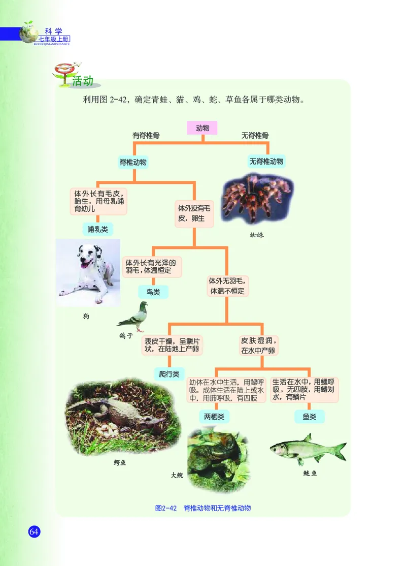 浙教版7年级科学上册高清教材_4-教培资料-26年最新资料-同步更新_初中高中教资_03科三专项（进去保存报考的学科即可）_02科三专项（笔记真题思维导图教学设计版本二）
