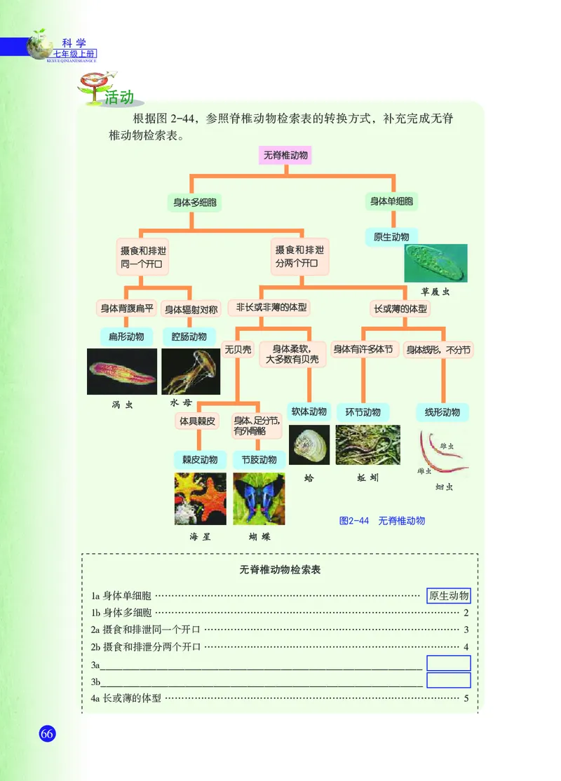 浙教版7年级科学上册高清教材_4-教培资料-26年最新资料-同步更新_初中高中教资_03科三专项（进去保存报考的学科即可）_02科三专项（笔记真题思维导图教学设计版本二）