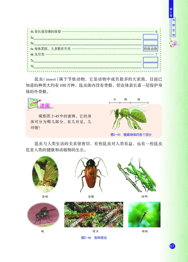 浙教版7年级科学上册高清教材_4-教培资料-26年最新资料-同步更新_初中高中教资_03科三专项（进去保存报考的学科即可）_02科三专项（笔记真题思维导图教学设计版本二）