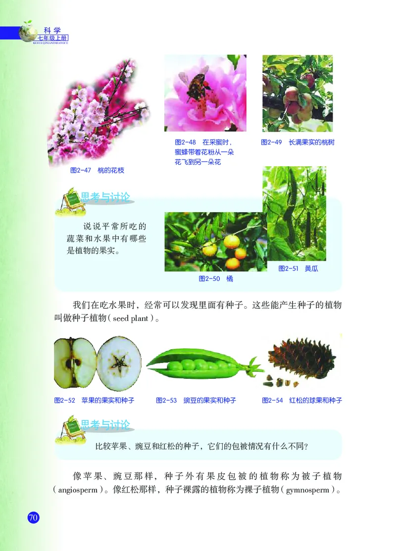 浙教版7年级科学上册高清教材_4-教培资料-26年最新资料-同步更新_初中高中教资_03科三专项（进去保存报考的学科即可）_02科三专项（笔记真题思维导图教学设计版本二）