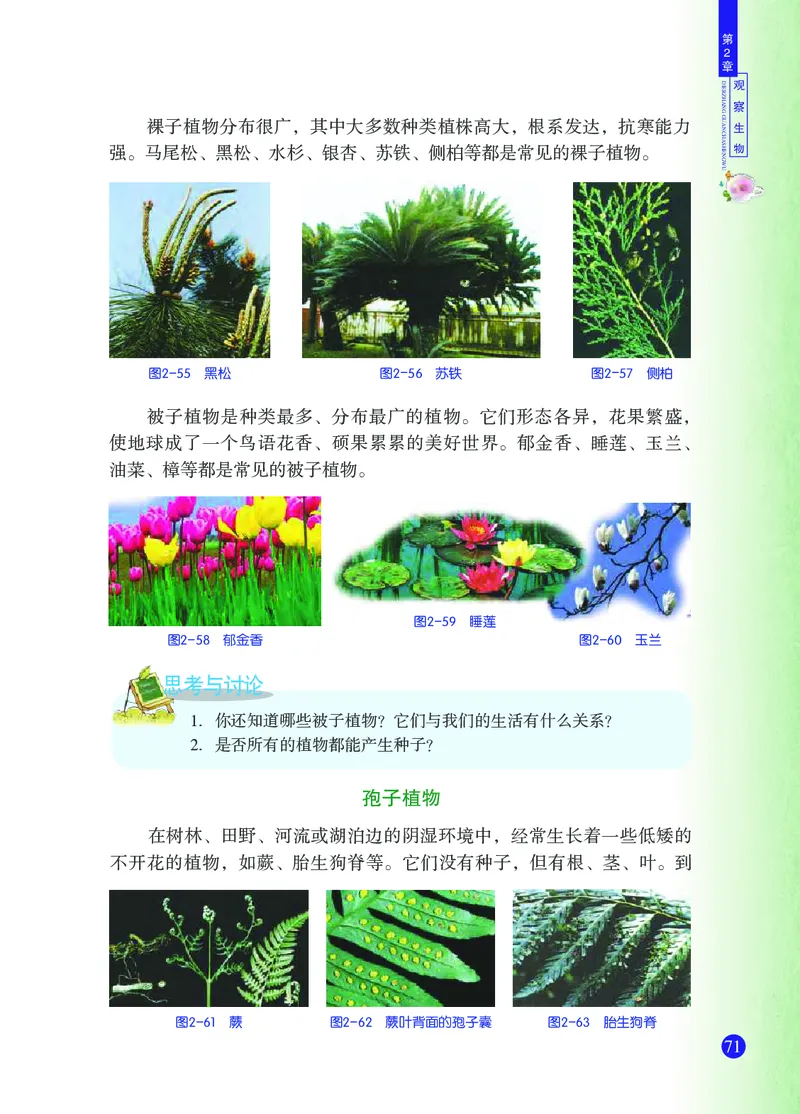 浙教版7年级科学上册高清教材_4-教培资料-26年最新资料-同步更新_初中高中教资_03科三专项（进去保存报考的学科即可）_02科三专项（笔记真题思维导图教学设计版本二）