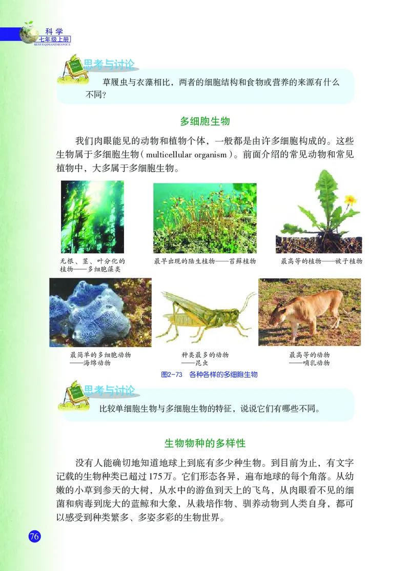 浙教版7年级科学上册高清教材_4-教培资料-26年最新资料-同步更新_初中高中教资_03科三专项（进去保存报考的学科即可）_02科三专项（笔记真题思维导图教学设计版本二）