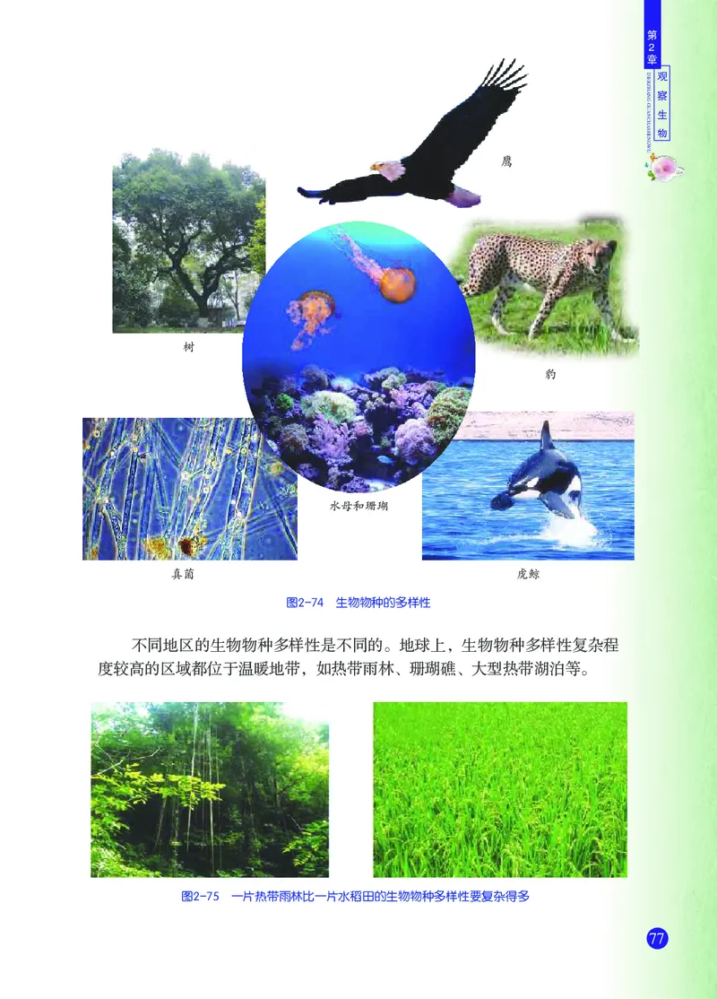 浙教版7年级科学上册高清教材_4-教培资料-26年最新资料-同步更新_初中高中教资_03科三专项（进去保存报考的学科即可）_02科三专项（笔记真题思维导图教学设计版本二）