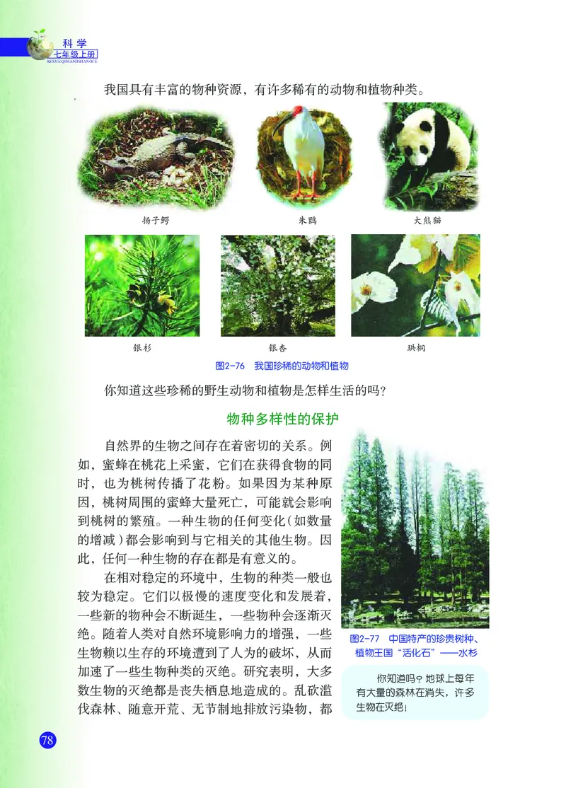 浙教版7年级科学上册高清教材_4-教培资料-26年最新资料-同步更新_初中高中教资_03科三专项（进去保存报考的学科即可）_02科三专项（笔记真题思维导图教学设计版本二）