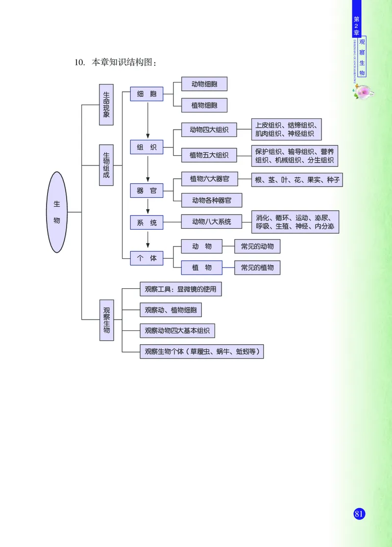 浙教版7年级科学上册高清教材_4-教培资料-26年最新资料-同步更新_初中高中教资_03科三专项（进去保存报考的学科即可）_02科三专项（笔记真题思维导图教学设计版本二）
