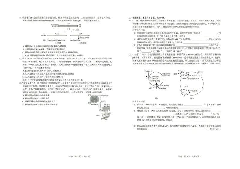 河北省唐山市十校2025-2026学年高三上学期12月期中考试生物试题_2025年12月_251202河北省唐山市十校2025-2026学年高三上学期12月期中（全科）