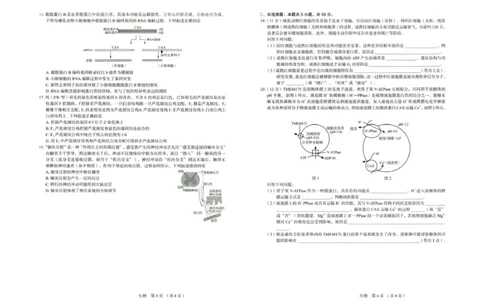 河北省唐山市十校2025-2026学年高三上学期12月期中考试生物试题_2025年12月_251202河北省唐山市十校2025-2026学年高三上学期12月期中（全科）