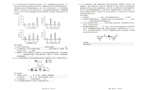 河北省唐山市十校2025-2026学年高三上学期12月期中考试生物试题_2025年12月_251202河北省唐山市十校2025-2026学年高三上学期12月期中（全科）