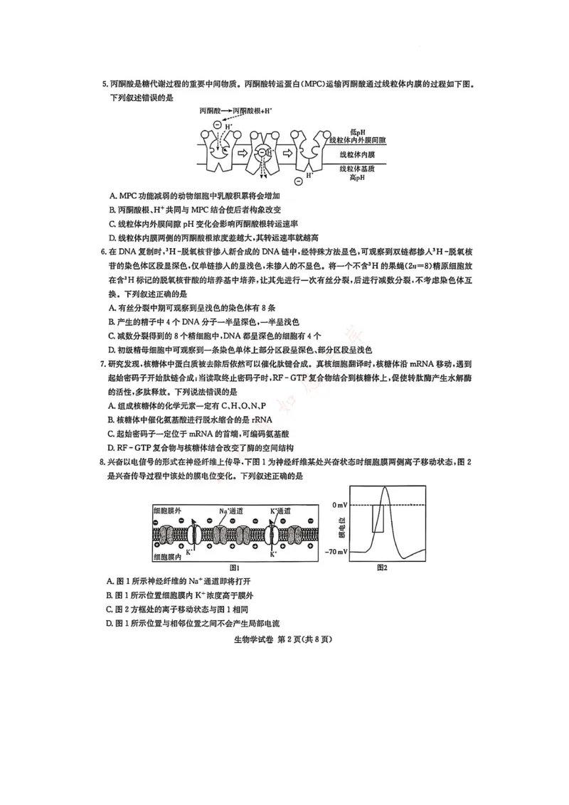 湖南省新高考教学教研联盟2026届高三年级12月联考（长郡二十校联盟）生物_2025年12月_251202湖南省新高考教学教研联盟2026届高三年级12月联考（长郡二十校联盟）（全科）