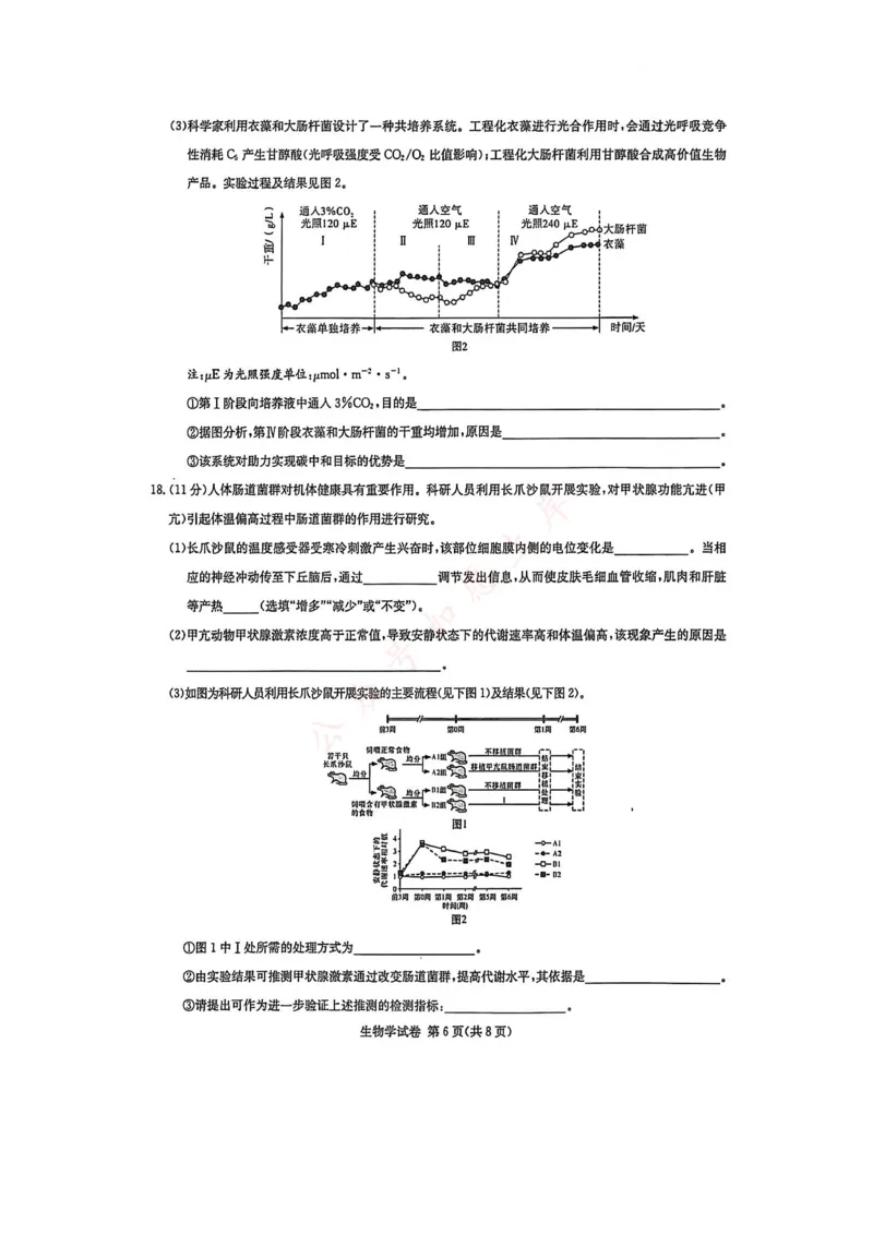 湖南省新高考教学教研联盟2026届高三年级12月联考（长郡二十校联盟）生物_2025年12月_251202湖南省新高考教学教研联盟2026届高三年级12月联考（长郡二十校联盟）（全科）