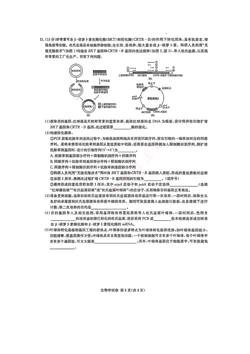 湖南省新高考教学教研联盟2026届高三年级12月联考（长郡二十校联盟）生物_2025年12月_251202湖南省新高考教学教研联盟2026届高三年级12月联考（长郡二十校联盟）（全科）