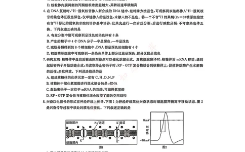 湖南省新高考教学教研联盟2026届高三年级12月联考（长郡二十校联盟）生物_2025年12月_251202湖南省新高考教学教研联盟2026届高三年级12月联考（长郡二十校联盟）（全科）