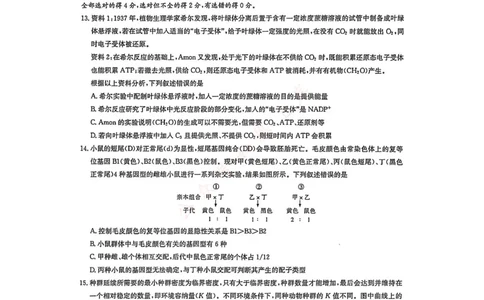 湖南省新高考教学教研联盟2026届高三年级12月联考（长郡二十校联盟）生物_2025年12月_251202湖南省新高考教学教研联盟2026届高三年级12月联考（长郡二十校联盟）（全科）