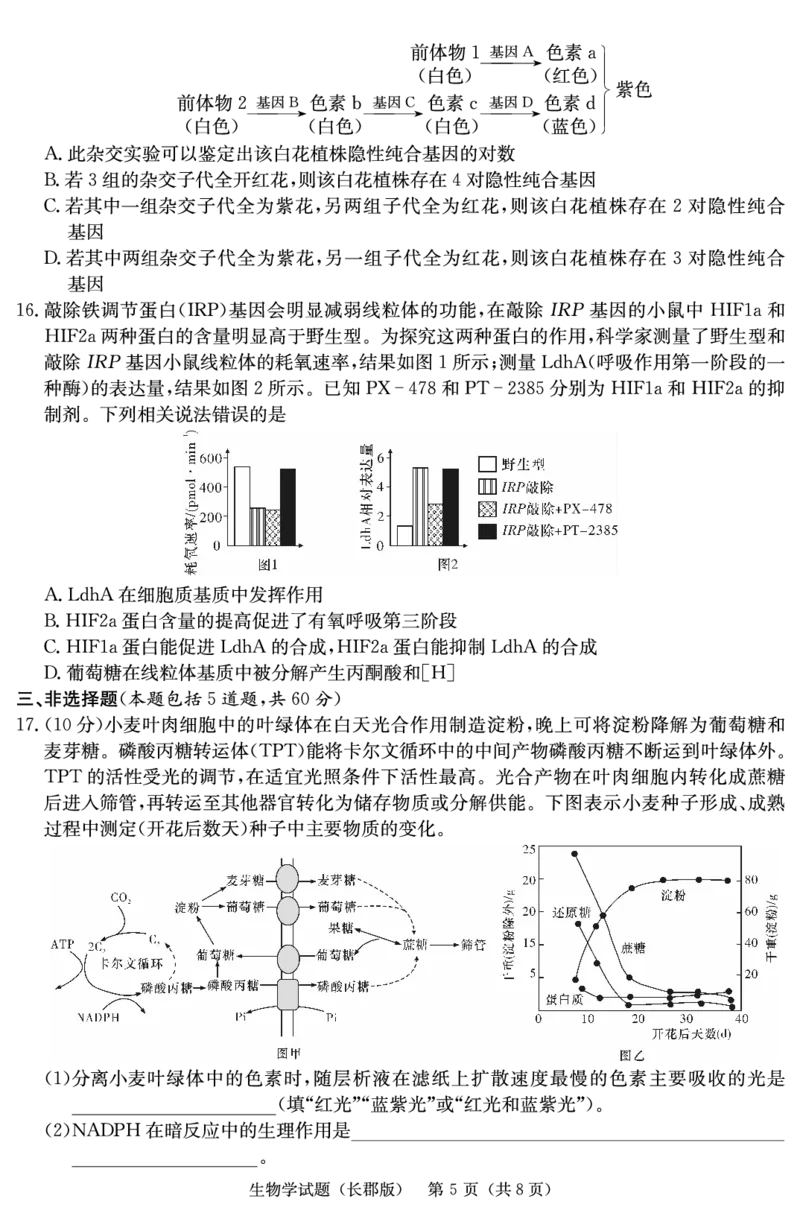生物试卷（长郡5）_2024届湖南省长沙市长郡中学高三上学期月考（五）_湖南省长沙市长郡中学2024届高三上学期月考（五）生物