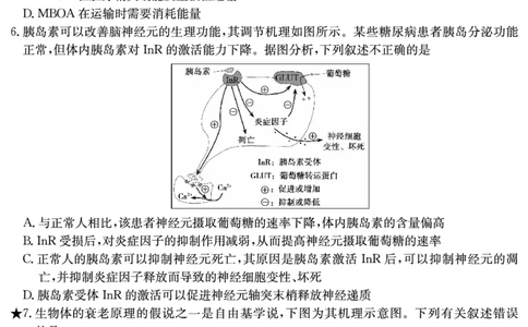 生物试卷（长郡5）_2024届湖南省长沙市长郡中学高三上学期月考（五）_湖南省长沙市长郡中学2024届高三上学期月考（五）生物