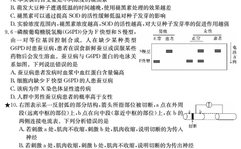 生物试卷（长郡5）_2024届湖南省长沙市长郡中学高三上学期月考（五）_湖南省长沙市长郡中学2024届高三上学期月考（五）生物