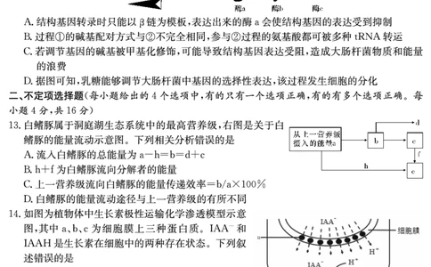 生物试卷（长郡5）_2024届湖南省长沙市长郡中学高三上学期月考（五）_湖南省长沙市长郡中学2024届高三上学期月考（五）生物