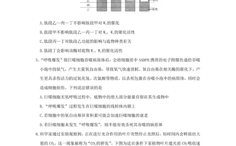 山东师范大学附属中学2025-2026学年高三上学期11月期中考试生物试题_2025年12月_251201山东省济南市山东师范大学附属中学2025-2026学年高三上学期11月期中（全科）