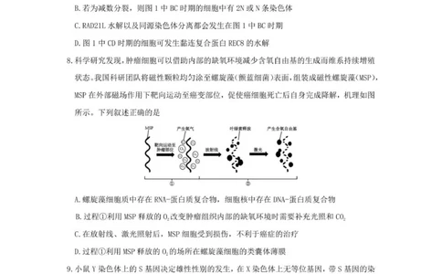 山东师范大学附属中学2025-2026学年高三上学期11月期中考试生物试题_2025年12月_251201山东省济南市山东师范大学附属中学2025-2026学年高三上学期11月期中（全科）