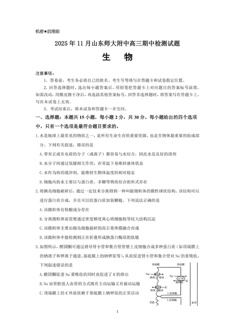 山东师范大学附属中学2025-2026学年高三上学期11月期中考试生物试题_2025年12月_251201山东省济南市山东师范大学附属中学2025-2026学年高三上学期11月期中（全科）