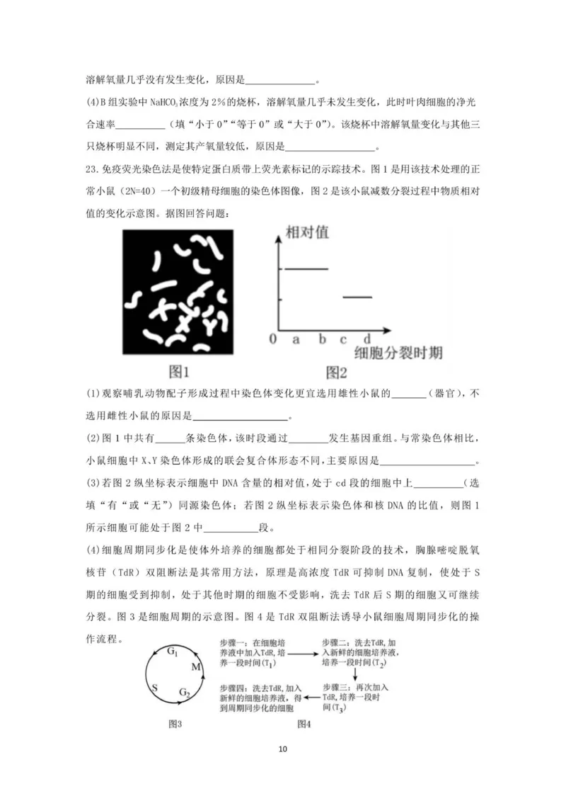 山东师范大学附属中学2025-2026学年高三上学期11月期中考试生物试题_2025年12月_251201山东省济南市山东师范大学附属中学2025-2026学年高三上学期11月期中（全科）