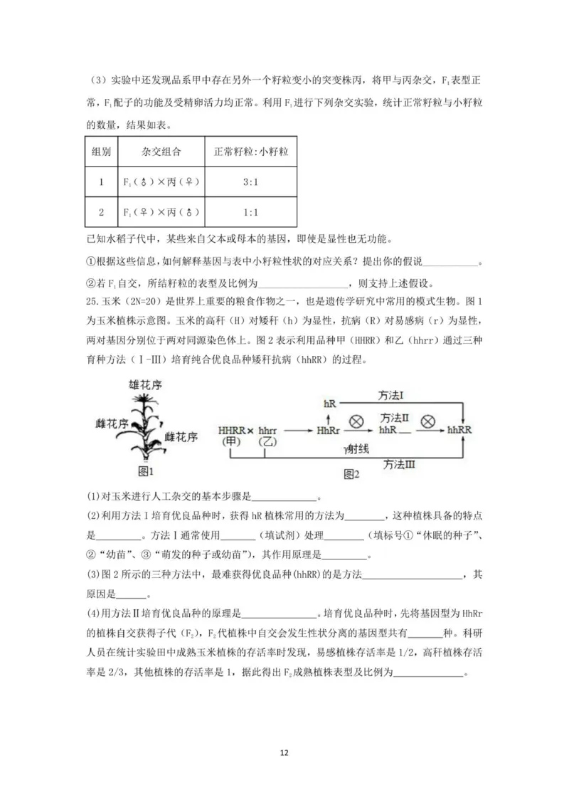 山东师范大学附属中学2025-2026学年高三上学期11月期中考试生物试题_2025年12月_251201山东省济南市山东师范大学附属中学2025-2026学年高三上学期11月期中（全科）