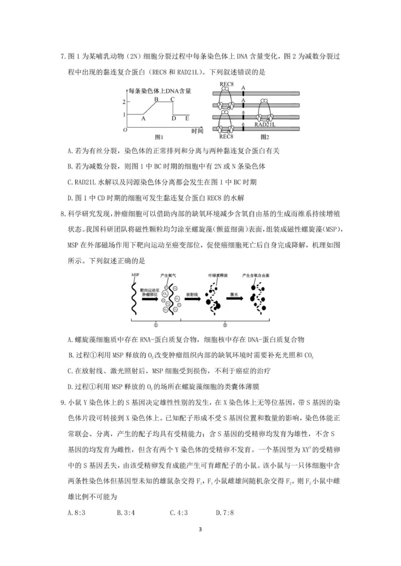 山东师范大学附属中学2025-2026学年高三上学期11月期中考试生物试题_2025年12月_251201山东省济南市山东师范大学附属中学2025-2026学年高三上学期11月期中（全科）