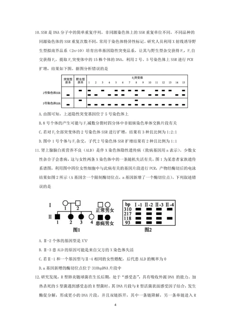 山东师范大学附属中学2025-2026学年高三上学期11月期中考试生物试题_2025年12月_251201山东省济南市山东师范大学附属中学2025-2026学年高三上学期11月期中（全科）