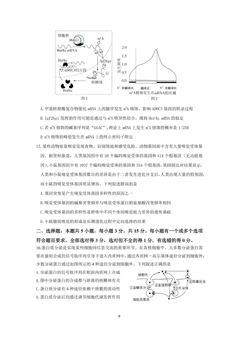 山东师范大学附属中学2025-2026学年高三上学期11月期中考试生物试题_2025年12月_251201山东省济南市山东师范大学附属中学2025-2026学年高三上学期11月期中（全科）