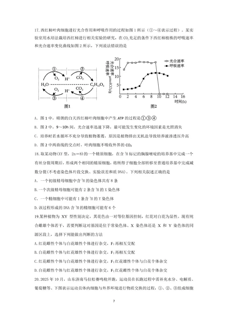 山东师范大学附属中学2025-2026学年高三上学期11月期中考试生物试题_2025年12月_251201山东省济南市山东师范大学附属中学2025-2026学年高三上学期11月期中（全科）