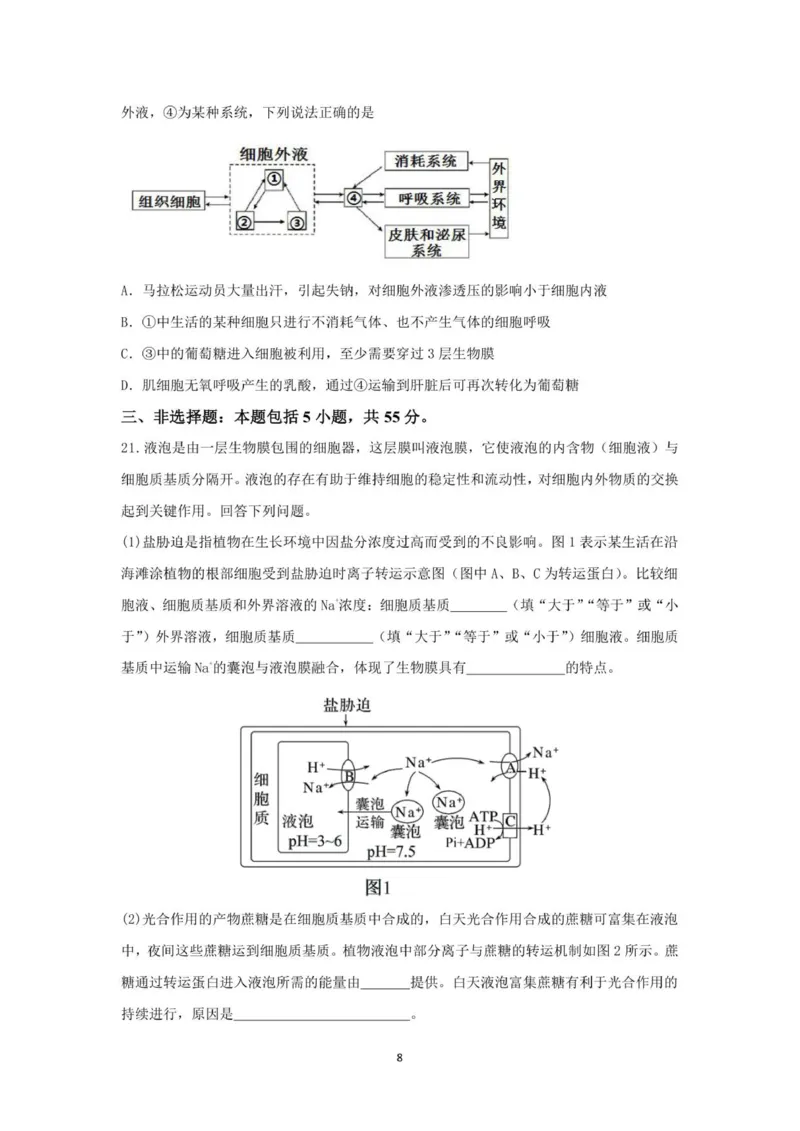 山东师范大学附属中学2025-2026学年高三上学期11月期中考试生物试题_2025年12月_251201山东省济南市山东师范大学附属中学2025-2026学年高三上学期11月期中（全科）