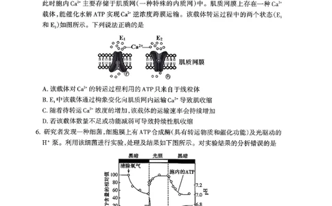 山东省泰安市2026届高三上学期期中考试生物_251118山东省泰安市2026届高三上学期期中考试（全科）
