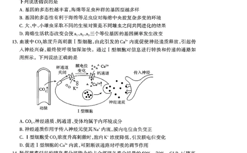 山东省泰安市2026届高三上学期期中考试生物_251118山东省泰安市2026届高三上学期期中考试（全科）