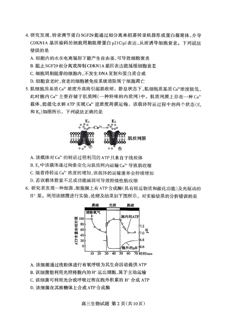 山东省泰安市2026届高三上学期期中考试生物_251118山东省泰安市2026届高三上学期期中考试（全科）