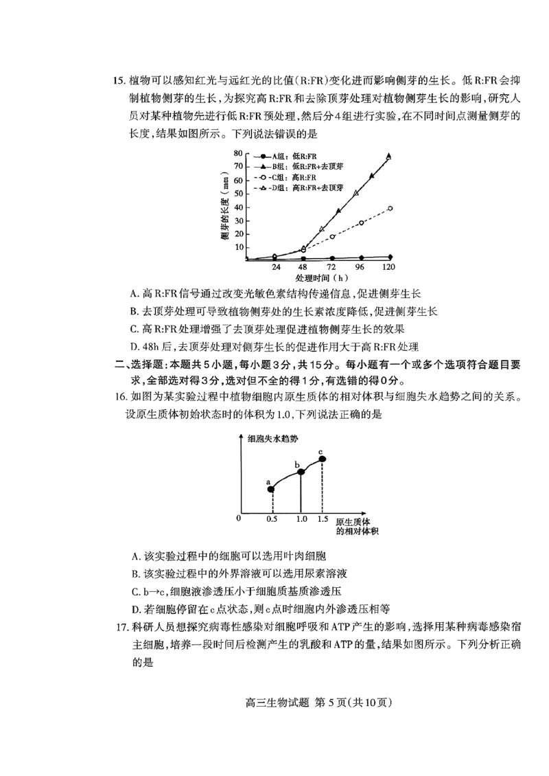 山东省泰安市2026届高三上学期期中考试生物_251118山东省泰安市2026届高三上学期期中考试（全科）
