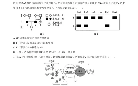 石室成飞中学2025-2026学年高三上学期11月月考生物_251120四川省成都市石室成飞中学2025-2026学年高三上学期11月月考（全科）