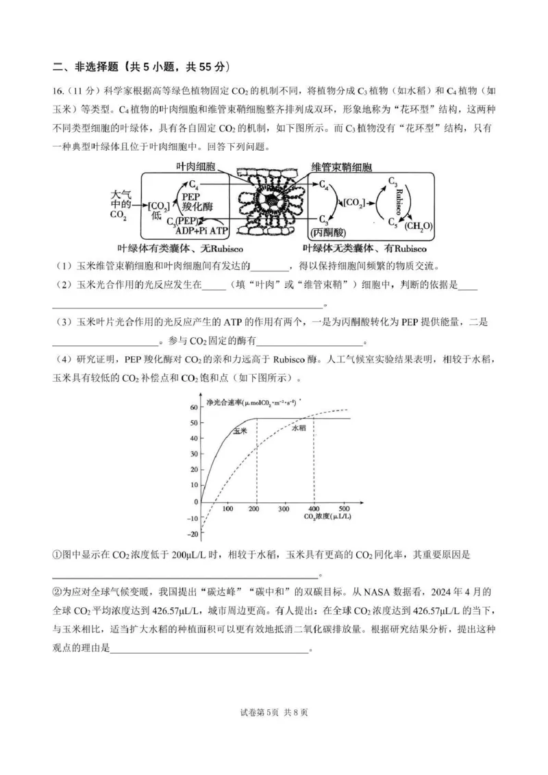 石室成飞中学2025-2026学年高三上学期11月月考生物_251120四川省成都市石室成飞中学2025-2026学年高三上学期11月月考（全科）