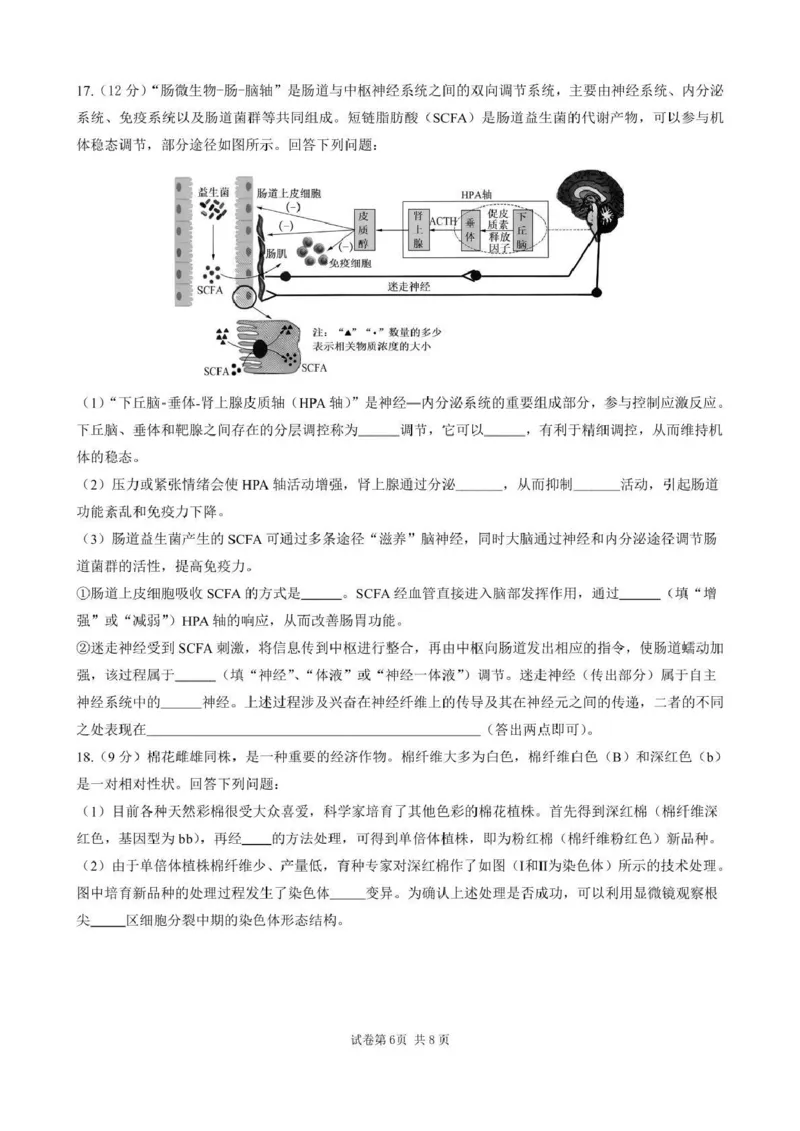 石室成飞中学2025-2026学年高三上学期11月月考生物_251120四川省成都市石室成飞中学2025-2026学年高三上学期11月月考（全科）