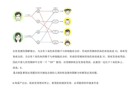 精品解析：2019年山东日照中考生物试题（解析版）_中考真题_8.生物中考真题2015-2024年_2019年全国中考生物92份_精品解析：山东省日照市2019年中考生物试题