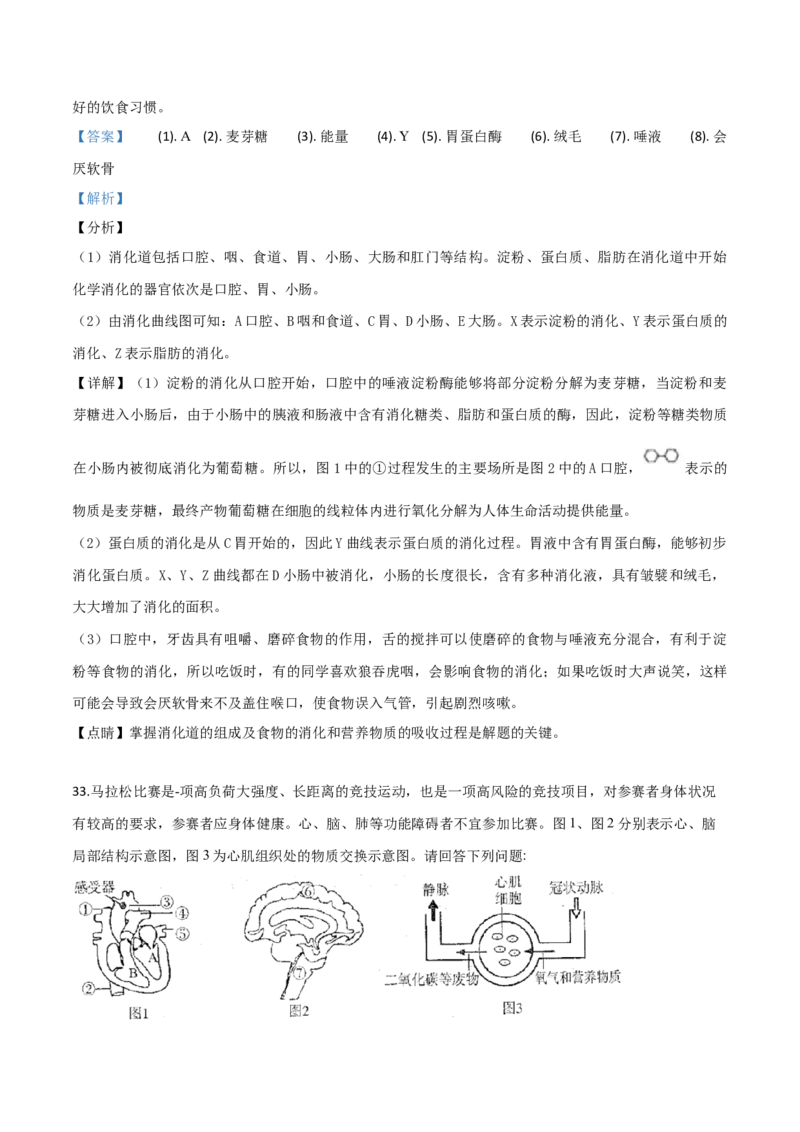 精品解析：2019年山东日照中考生物试题（解析版）_中考真题_8.生物中考真题2015-2024年_2019年全国中考生物92份_精品解析：山东省日照市2019年中考生物试题